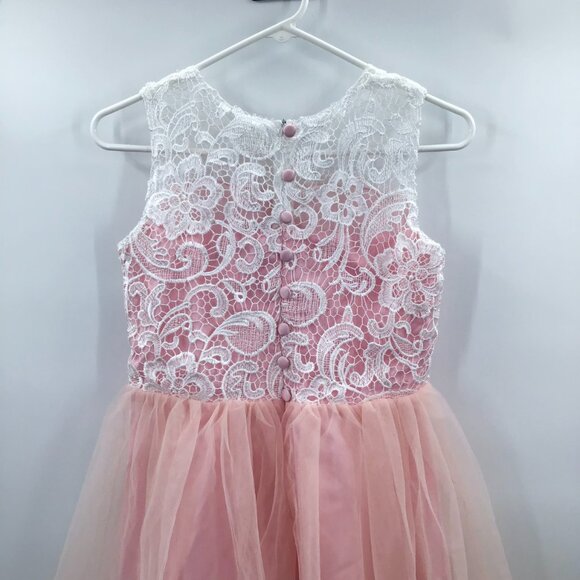 Pink Party Dress for a Princess! White Lace Tulle Ballgown Easter Flower Girl - Picture 4 of 15